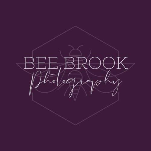 bee-brook-logo-chelsey-huff-design-blog